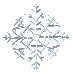 SnowCam